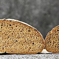 Das „no knead“-Roggenvollkornbrot hat eine kleinporige, lockere Krume.