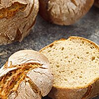 Die „no knead“-Roggenbrötchen sind locker und elastisch mit knuspriger, rustikal aufgerissener Kruste.