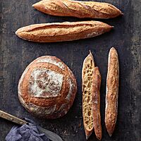 Die Baguette haben eine knusprig-splitterige Kruste.