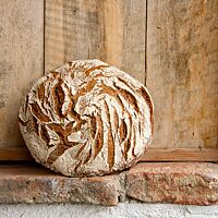 Das kräftig ausgebackene, rustikal aufgerissene Dreikornbrot lehnt an einer Holzwand.