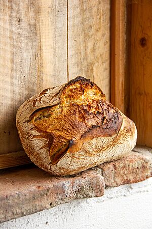 Das kräftig ausgebackene Weizensauerteigruchbrot ist auf der Oberfläche rustikal aufgerissen und leicht bemehlt.