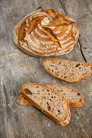 Sabines Italienbrot hat eine rustikal aufgerissene, kräftig ausgebackene Kruste und eine lockere, elastische Krume.