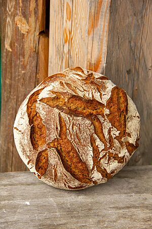 Das Roggenvollkornbrot hat eine rustikal aufgerissene, bemehlte Kruste.
