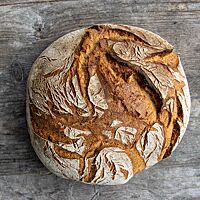 Das kräftig ausgebackene, rustikal aufgerissene Kartoffelbrot ist auf der Oberfläche leicht bemehlt.