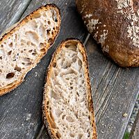 Die dicke, knusprige Kruste des Italienischen Landbrotes umgibt die lockere, saftige Krume.