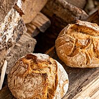 Die runden Weizenmischbrötchen sind kräftig ausgebacken und rustikal aufgerissen.