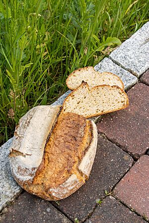 Das Polentabrot hat eine saftige, lockere Krume und eine rustikal aufgerissene, knusprige Kruste.