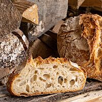 Eine vor einem Holzstapel stehende Scheibe Weizensauerteigbrot zeigt die wilde, grobe Porung der Krume.