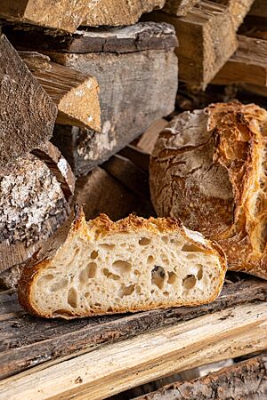 Eine vor einem Holzstapel stehende Scheibe Weizensauerteigbrot zeigt die wilde, grobe Porung der Krume.