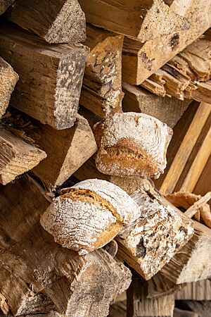 Zwei stark bemehlte Dinkelbrötchen mit kräftiger Kruste liegen auf einem Stapel Holzscheite.