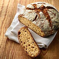 Das Zwiebelbrot mit unregelmäßiger Porung der goldgelben Krume hat eine rustikal aufgerissene Kruste.