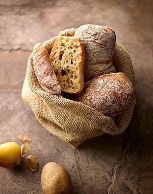 Die eckigen Kartoffelbrötchen haben eine fluffige, mittelporige Krume und eine dünne, zart gemaserte und leicht bemehlte Kruste.