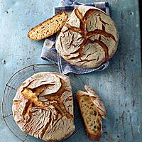 Sowohl das Weizenbrot mit heller, mittel- bis grobporiger Krume (unten) als auch der Weizenlaib mit lockerer, kleinporiger Krume (oben) haben eine weiß bemehlte, von goldbraunen Rissen durchzogene Kruste.