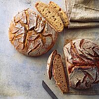Sowohl das Dinkelvollkornbrot mit dunkler, kleinporiger Krume (rechts) als auch das helle Dinkelbrot mit lockerer, klein- bis mittelporiger Krume (links) haben eine rustikal aufgerissene, knusprige Kruste.