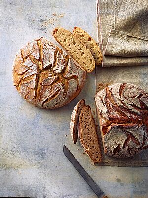 Sowohl das Dinkelvollkornbrot mit dunkler, kleinporiger Krume (rechts) als auch das helle Dinkelbrot mit lockerer, klein- bis mittelporiger Krume (links) haben eine rustikal aufgerissene, knusprige Kruste.