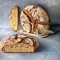 Das Dinkel-Buttermilch-Brot (oben) und das Dinkelmischbrot (unten) haben eine goldgelbe, elastische Krume mit unregelmäßiger Porung und eine rustikal aufgerissene, knusprig ausgebackene Kruste.