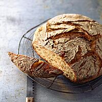 Das runde Joghurtbrot mit Schrot hat eine rustikal aufgerissene, bemehlte Kruste und eine mittelporige, luftige Krume.