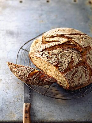 Das runde Joghurtbrot mit Schrot hat eine rustikal aufgerissene, bemehlte Kruste und eine mittelporige, luftige Krume.