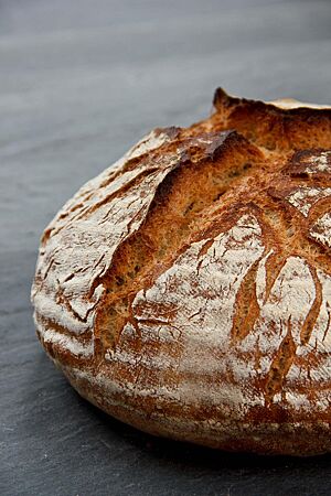 Das Weizenmischbrot hat eine bemehlte, knusprig ausgebackene und rustikal aufgerissene Kruste.