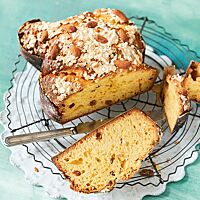 Eine angeschnittene Colomba liegt auf einem Gitterrost. Im Anschnitt wird die wattig-weiche Krume mit Sultaninen und Orangeat sichtbar. Auf der Oberfläche der Colomba ist das Topping aus Eiklar, Zucker und Mandeln erkennbar.
