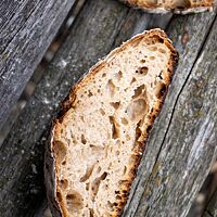 Die Krumenstruktur des Almrebellen ist locker und luftig.