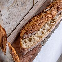 Im aufgeschnittenen Baguette wird die wilde, grobe Porung sichtbar.
