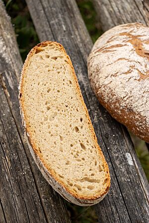 Dinkelbrot: schlicht und gut.