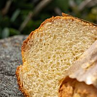 Die Krume der Dinkelhefebrioche hat eine sehr gleichmäßige Porung.