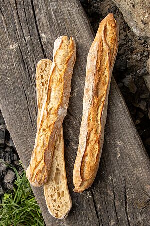 Ein längs aufgeschnittenes Dinkelbaguette lässt die grobporige, elastische Krume erkennen.