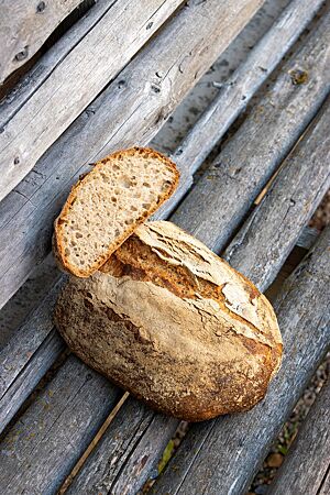 Die lockere, weiche Krume des Weizenbrotes wird von einer knusprigen, krossen Kruste umgeben.