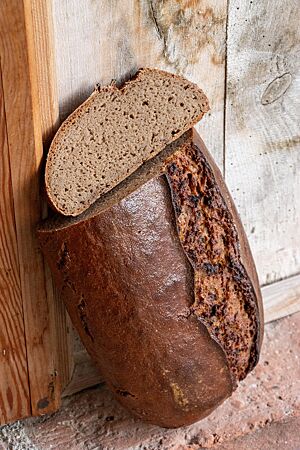 Das Roggenbrot im Anschnitt zeigt seinen weit aufgerissenen Ausbund und die kleinporige, lockere Krume.