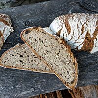 Sowohl die knusprige Kruste als auch die Saaten in der Krume verleihen dem Alltagsbrot einen gewissen Biss.
