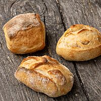 Die kräftig ausgebackenen All-In-Sonntagsbrötchen haben eine goldgelb ausgebackene Kruste.