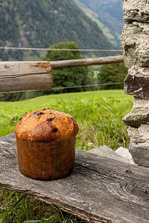 Die goldbraun ausgebackene Schokottone mit Schokostückchen in der Kruste ähnelt einer Panettone.
