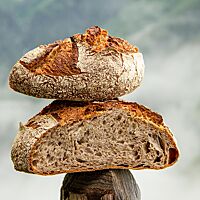 Das kräftig ausgebackene, rustikal aufgerissene Lauteracher Linsenbrot hat eine mittelporige, elastische Krume.