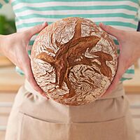 Das von zwei Händen vor dem Körper gehaltene Dinkelbrot hat eine leicht bemehlte, rustikal aufgerissene Kruste.