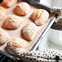 Ein Blech mit neun goldgelb ausgebackenen Weizenmischbrötchen wird aus dem Ofen geholt.