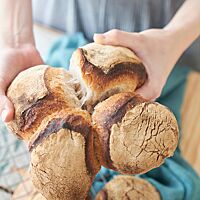 Von vier aneinandergebackenen Bürlis mit stark bemehlter, dunkel ausgebackener Kruste wird ein Teil abgebrochen und lässt die weiche, lockere Krume erkennen.