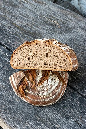 Das freigeschobene Roggensauerteigbrot zeigt im Anschnitt seine helle, kleinporige Krume.