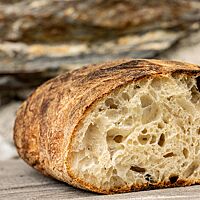 Das kräftig ausgebackene Ritterkopf-Ciabatta hat eine weiche, elastische Krume.