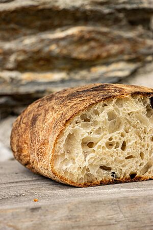 Das kräftig ausgebackene Ritterkopf-Ciabatta hat eine weiche, elastische Krume.