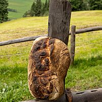 Das Alpino ist beinahe schwarz ausgebacken und hat goldbraune Mehlspuren auf der Oberfläche.