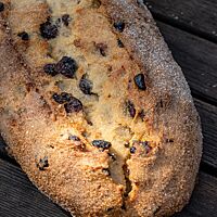 Der Südsächsische Stollen mit Sultaninen in der Kruste wurde gebuttert und gezuckert, aber noch nicht mit Puderzucker bestreut.