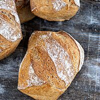 Vier knusprig ausgebackene Urlaubsbrötchen aus Vollkorn mit schräg gesetzten Einschnitten liegen auf einem rustikalen Holztisch.