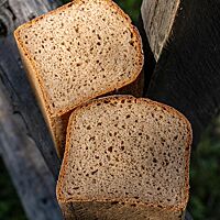 Das halbierte Rauriser Graubrot lässt die kleinporige, saftige Krume sichtbar werden.